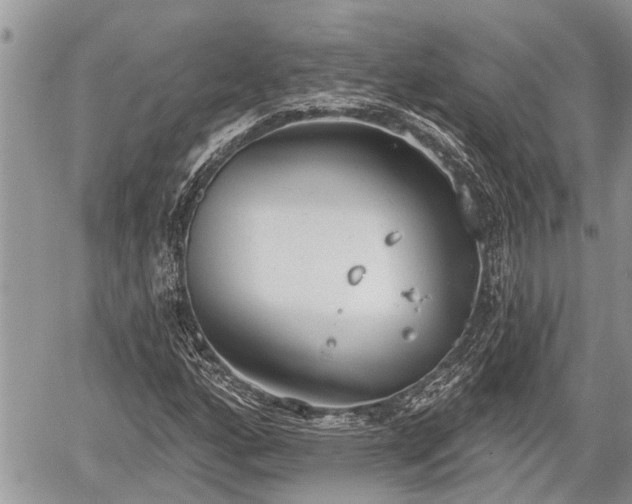 X0000060241160200510311514