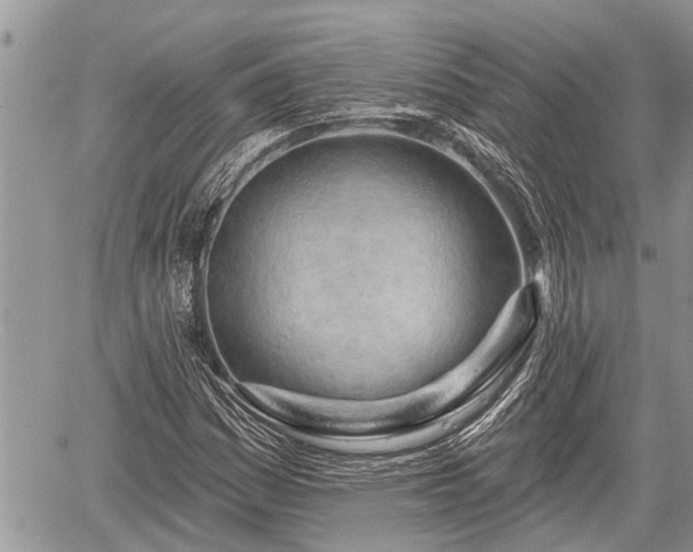 X0000060241161200510311514