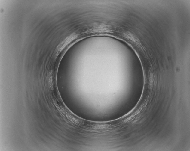 X0000060241162200510311514