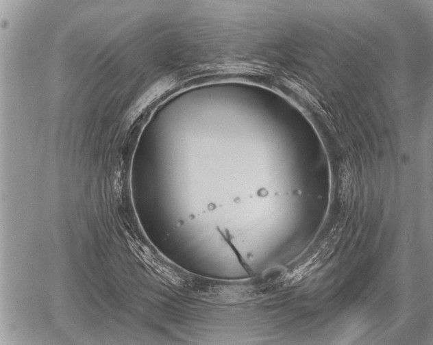 X0000060241163200510311514