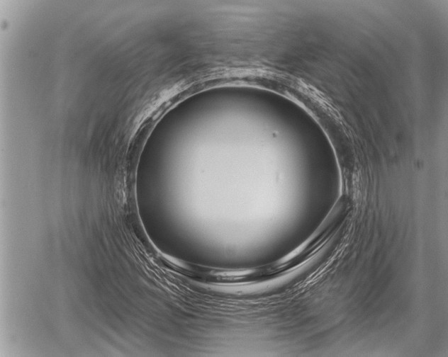 X0000060241165200510311514