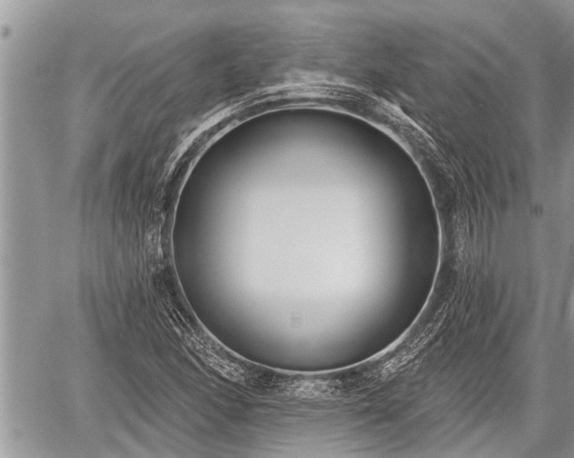 X0000060241166200510311514