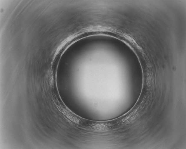 X0000060241167200510311514