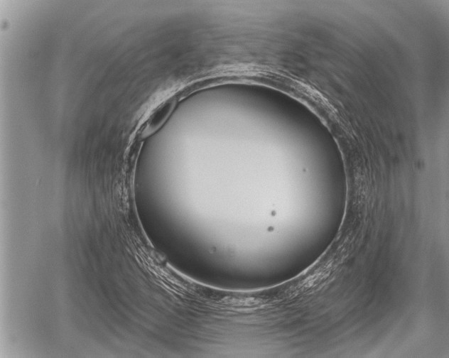 X0000060241168200510311514