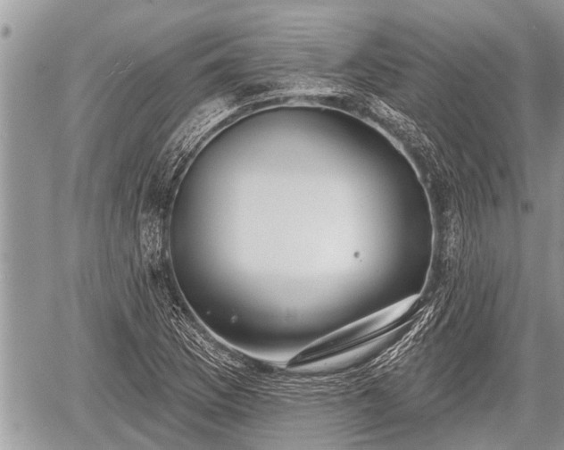 X0000060241169200510311514