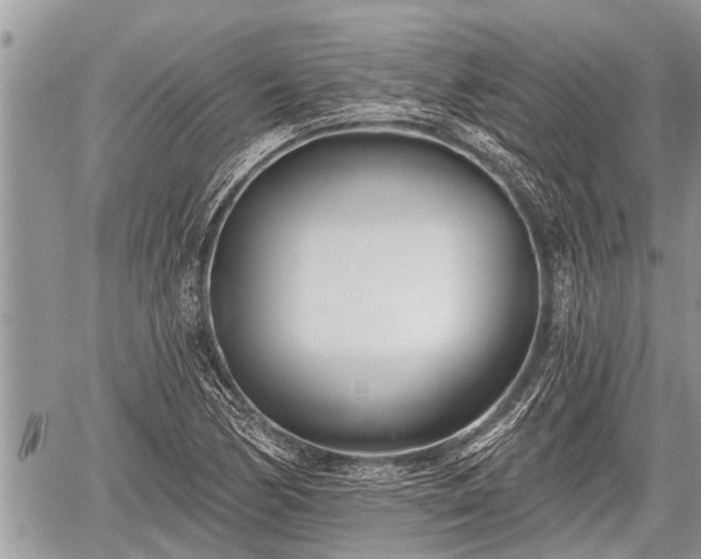 X0000060241170200510311514