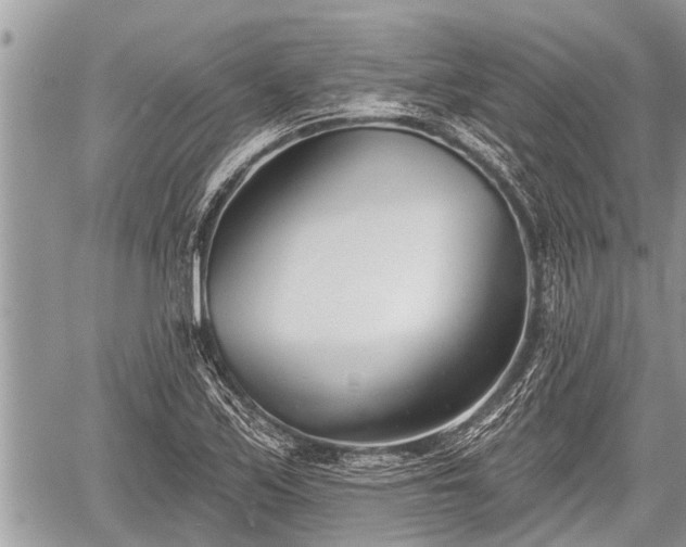 X0000060241171200510311514