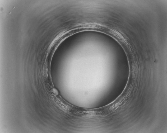 X0000060241172200510311514