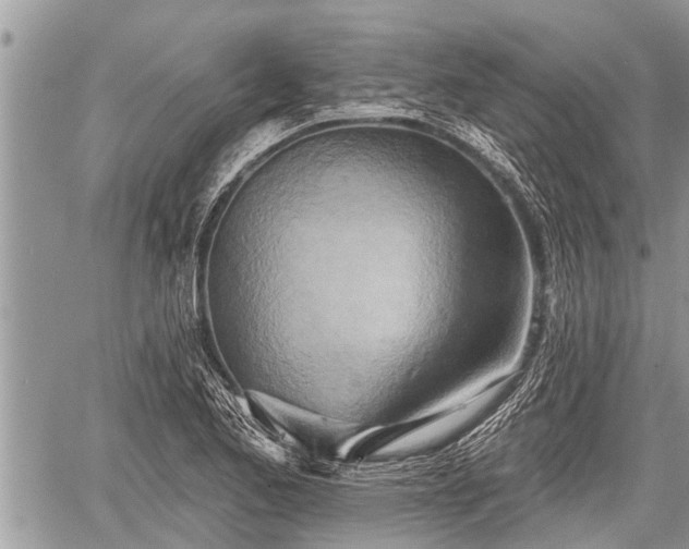 X0000060241173200510311514