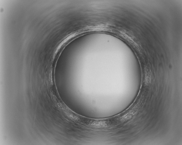 X0000060241174200510311514