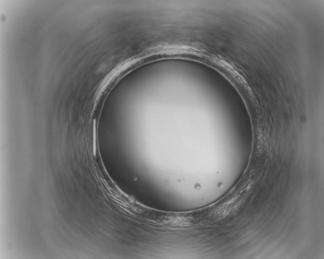 X0000060241175200510311514