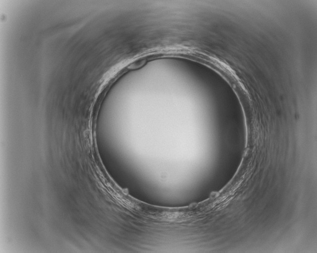 X0000060241176200510311514