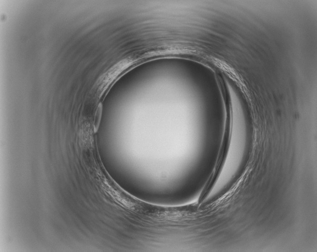 X0000060241177200510311514