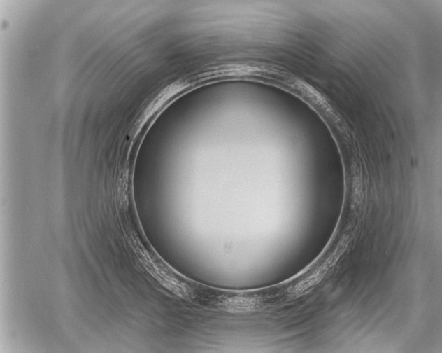 X0000060241178200510311514