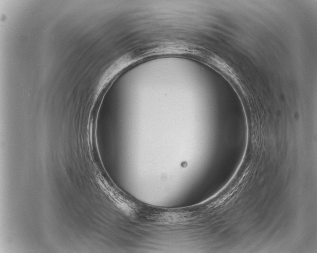 X0000060241179200510311514