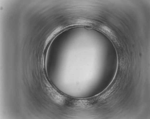 X0000060241180200510311514