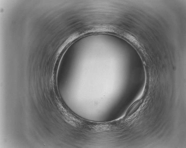 X0000060241181200510311514