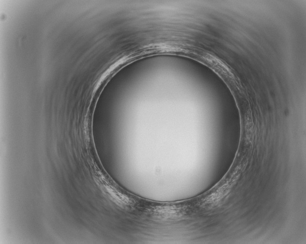 X0000060241182200510311514