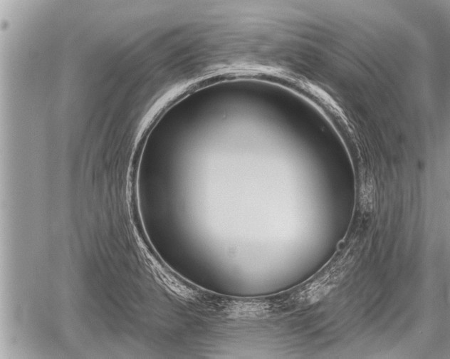 X0000060241183200510311514