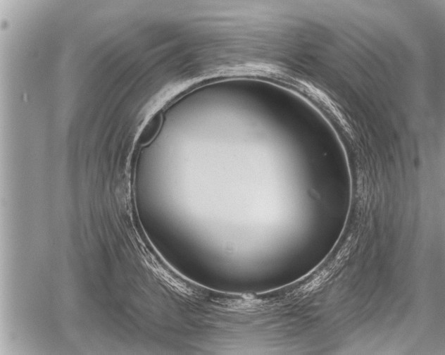 X0000060241184200510311514