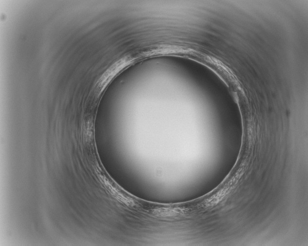 X0000060241185200510311514