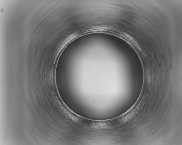 X0000060241186200510311514