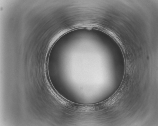 X0000060241187200510311514