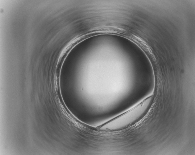 X0000060241188200510311514