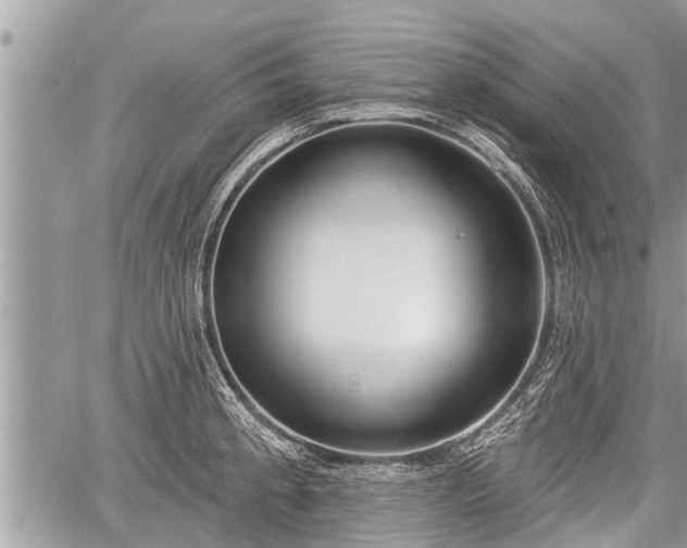 X0000060241189200510311514