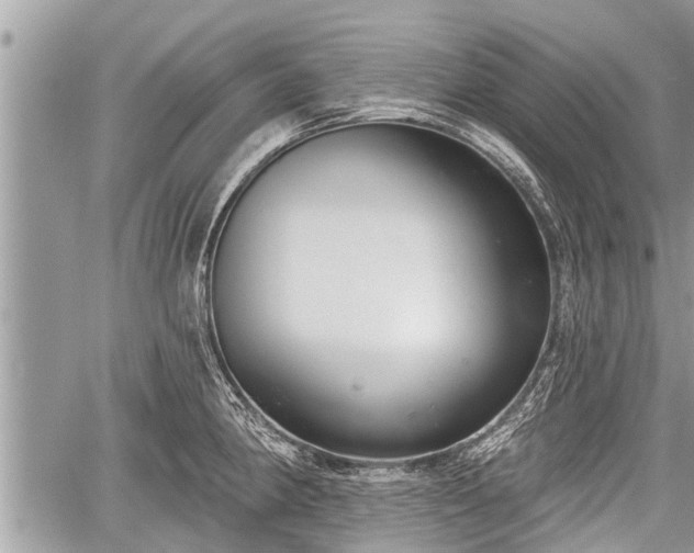 X0000060241190200510311514