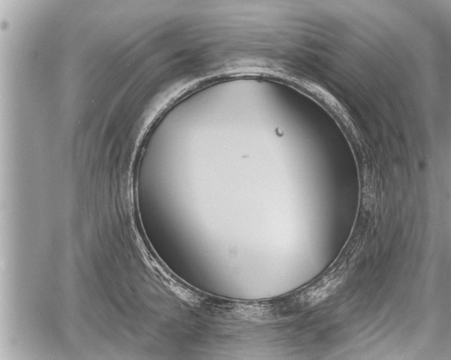 X0000060241191200510311514