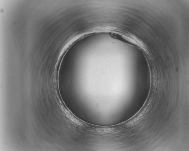 X0000060241192200510311514