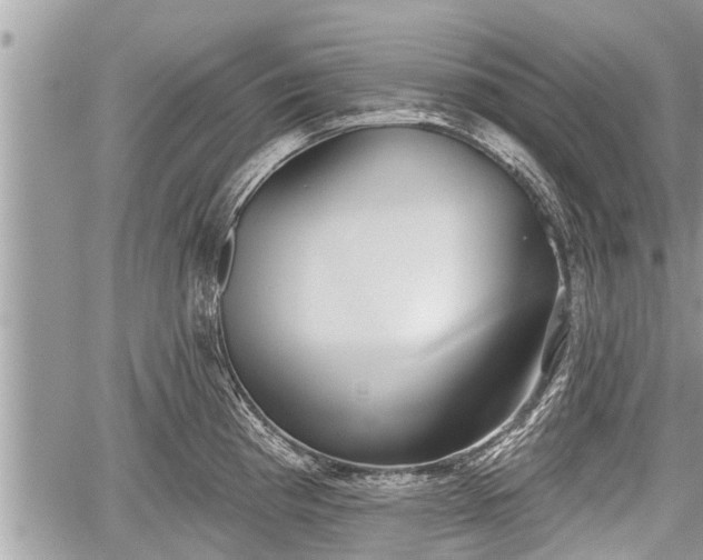 X0000060241193200510311514