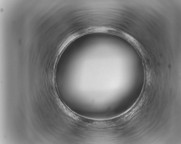 X0000060241194200510311514