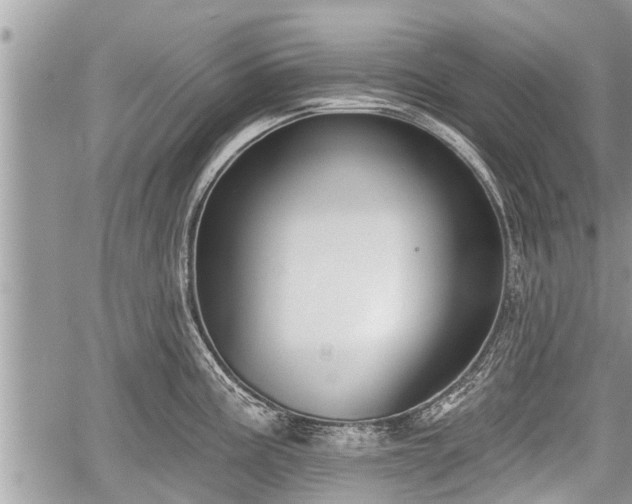 X0000060241195200510311514