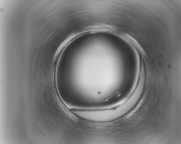 X0000060241196200510311514