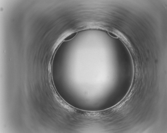 X0000060241198200510311514