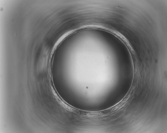 X0000060241199200510311514