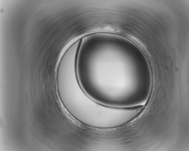 X0000060241200200510311514