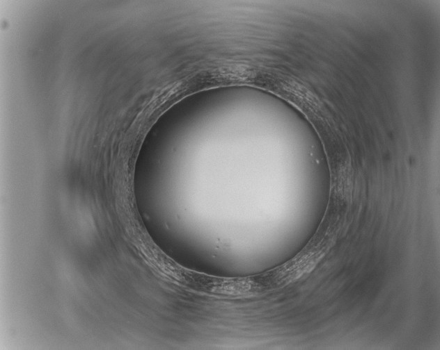 X0000060241201200510311513