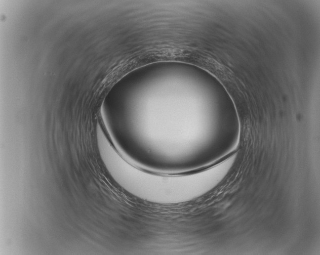 X0000060241202200510311513