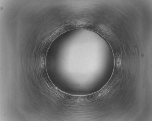 X0000060241204200510311513