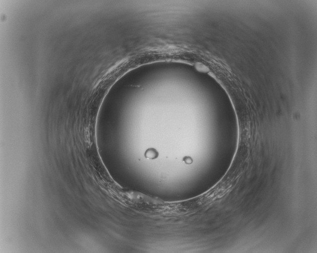 X0000060241205200510311513