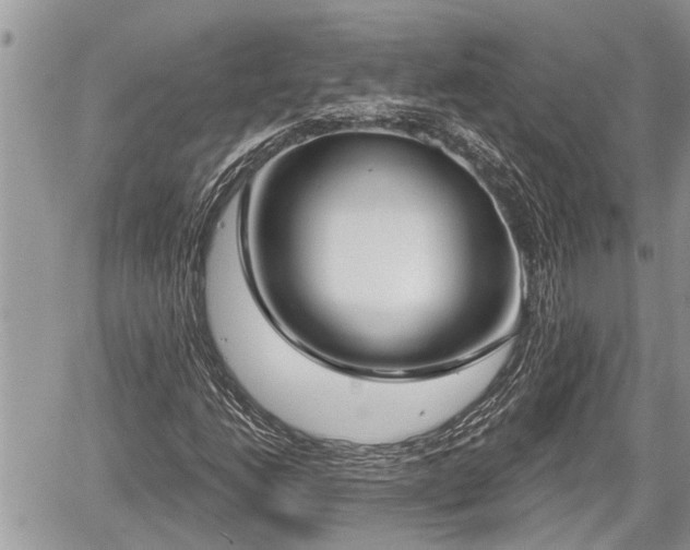 X0000060241206200510311513