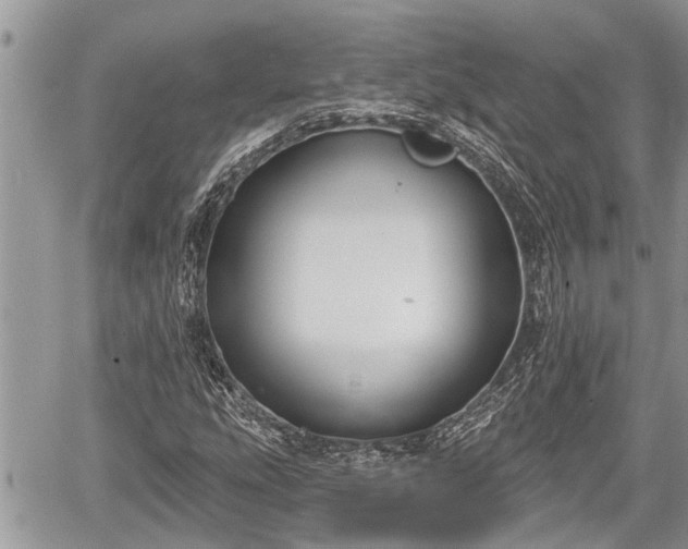 X0000060241207200510311513