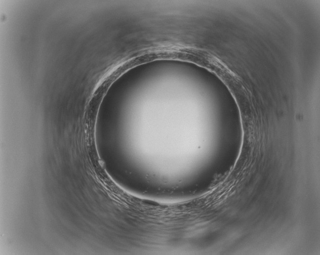 X0000060241208200510311513