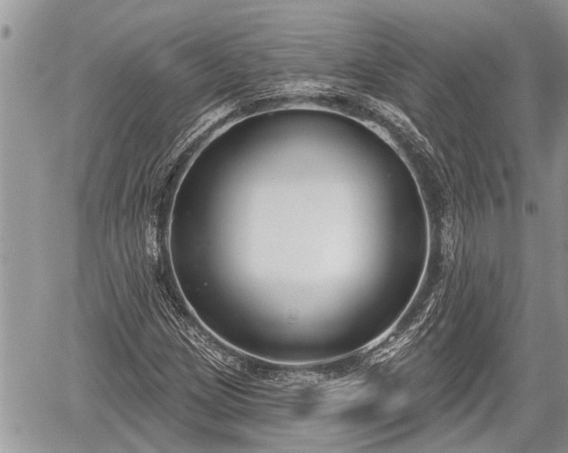 X0000060241209200510311513