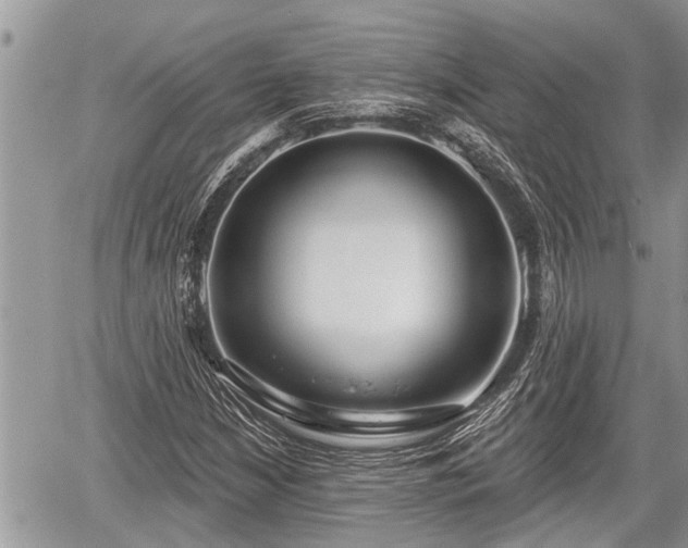 X0000060241210200510311513