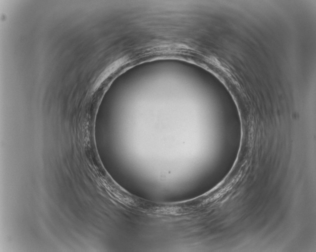 X0000060241211200510311513