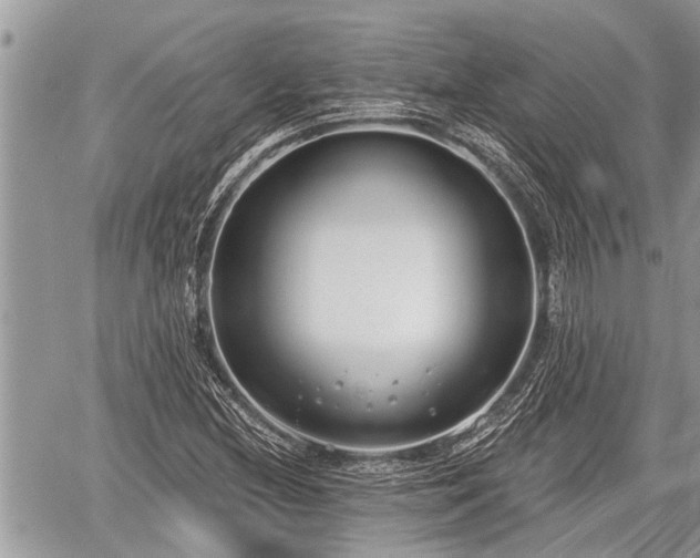 X0000060241212200510311513